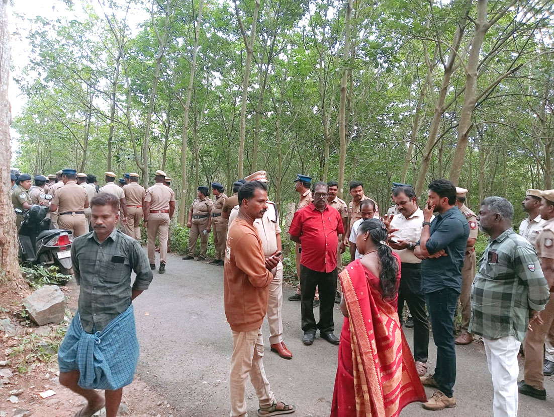 அருமனையில் அனுமதியின்றி செயல்பட்ட பன்றி பண்ணைகள் அகற்றம்