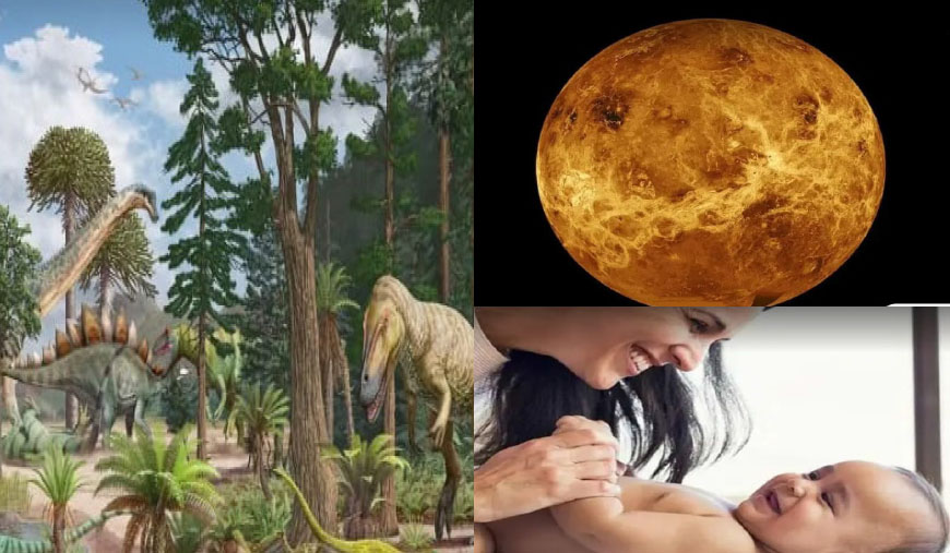 கண் அசைவு மூலம் மொழி கற்கும் கைக்குழந்தைகள்: புதிய ஆய்வு
