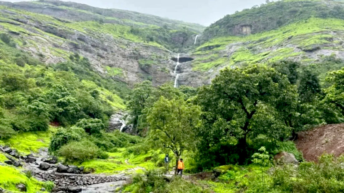 மோடியின் நண்பர் அதானிக்கு தாராளம்! 83,800 சதுர அடி வன நிலத்தை விடுவித்த மகாராஷ்டிரா பாஜக அரசு