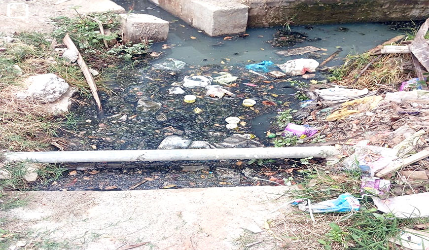 களப்பாகுளம் என்.ஜி.ஓ. காலனியில் தேங்கிய சாக்கடை கழிவு நீரால் சுகாதாரச் சீர்கேடு சுகாதார நடவடிக்கை மேற்கொள்ள மக்கள் கோரிக்கை