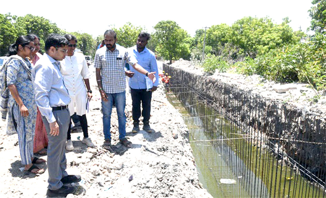 பக்கிள் ஓடை தூர்வாரும்  பணியை  ஆட்சியர் ஆய்வு
