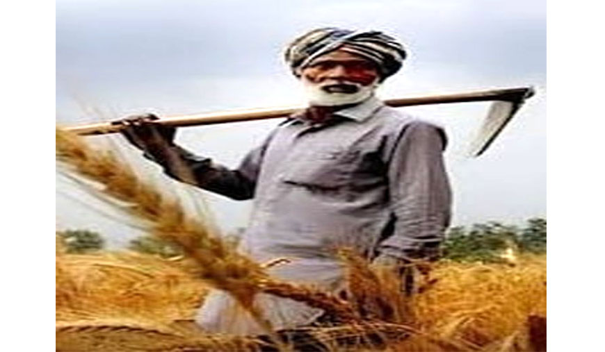 ஸ்கேன் இந்தியா